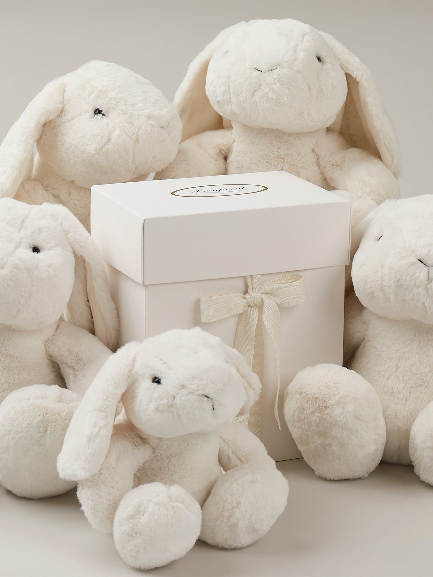 Medium signature milk-white rabbit 20 cm with its box