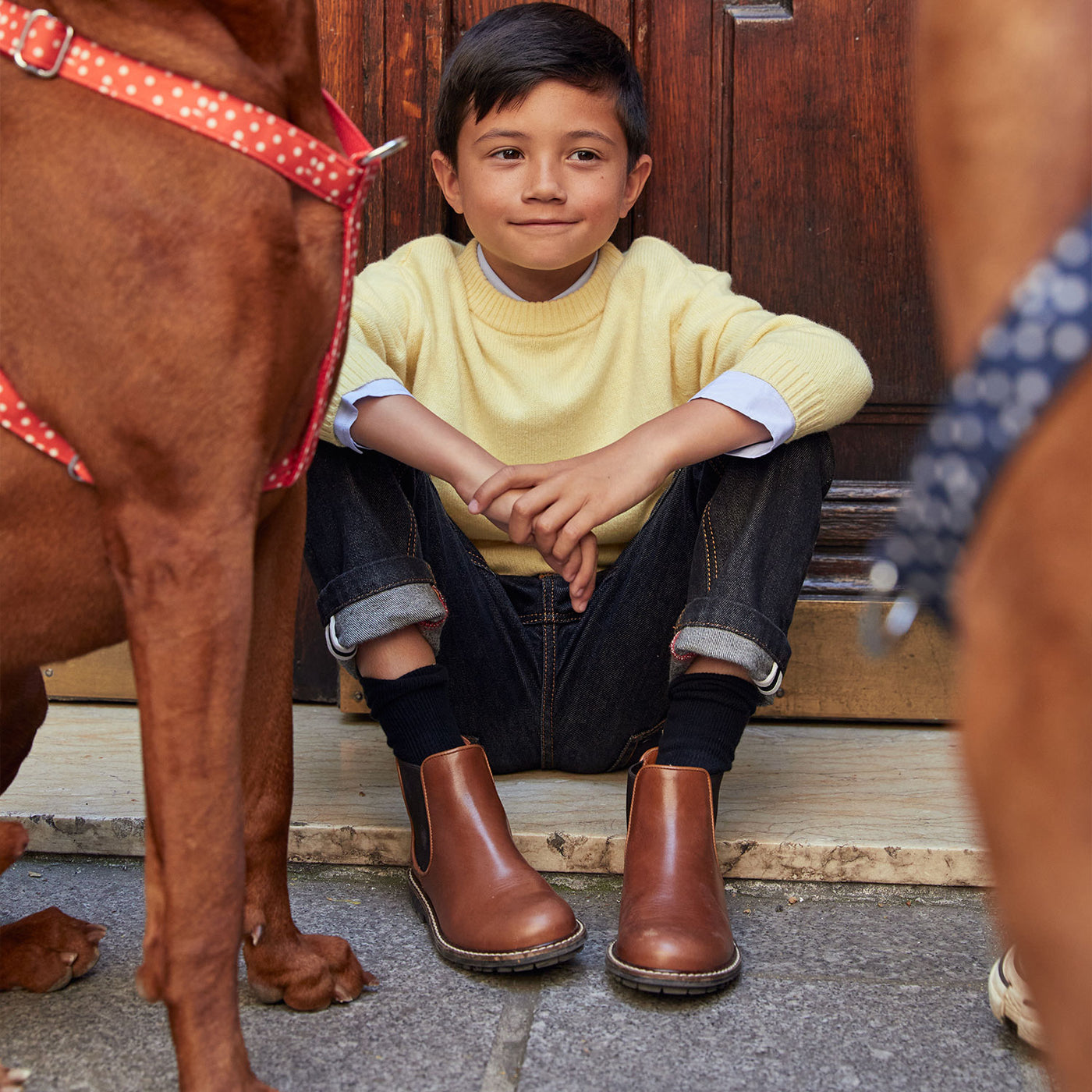 ペットアクセサリーをつけた犬と男の子の画像